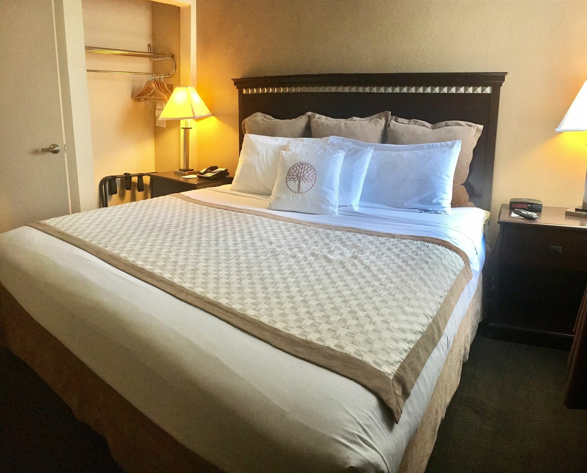 Hawthorn Suites By Wyndham Chandler Extérieur photo